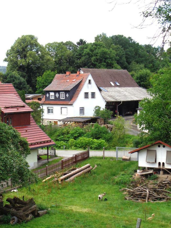 Ferienwohnung Wilhelm Springstille Экстерьер фото